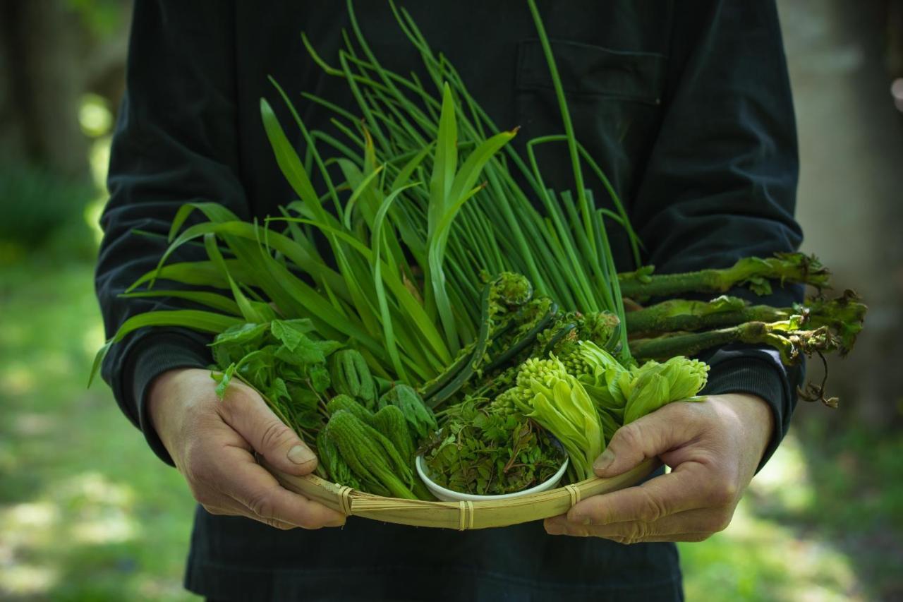Shiroyamakan Shirakawa-gō Extérieur photo
